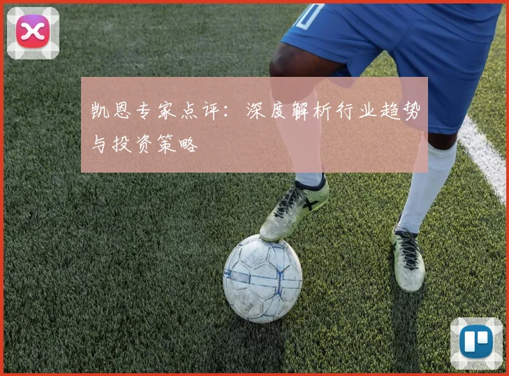 凯恩专家点评：深度解析行业趋势与投资策略